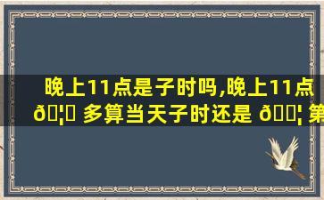 晚上11点是子时吗,晚上11点 🦋 多算当天子时还是 🐦 第二天子时
